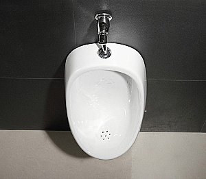 Писсуар CeramaLux X541P купить в интернет-магазине Sanbest