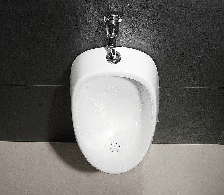 Писсуар CeramaLux X541P купить в интернет-магазине Sanbest