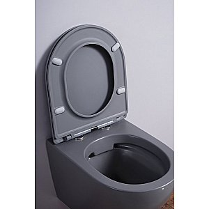 Унитаз подвесной Esbano AZALEA ESUPAZALGM безободковый, с крышкой микролифт, матовый серый купить в интернет-магазине Sanbest